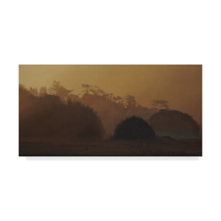 Ron Parker 'Golden Mist' Canvas Art,24x47